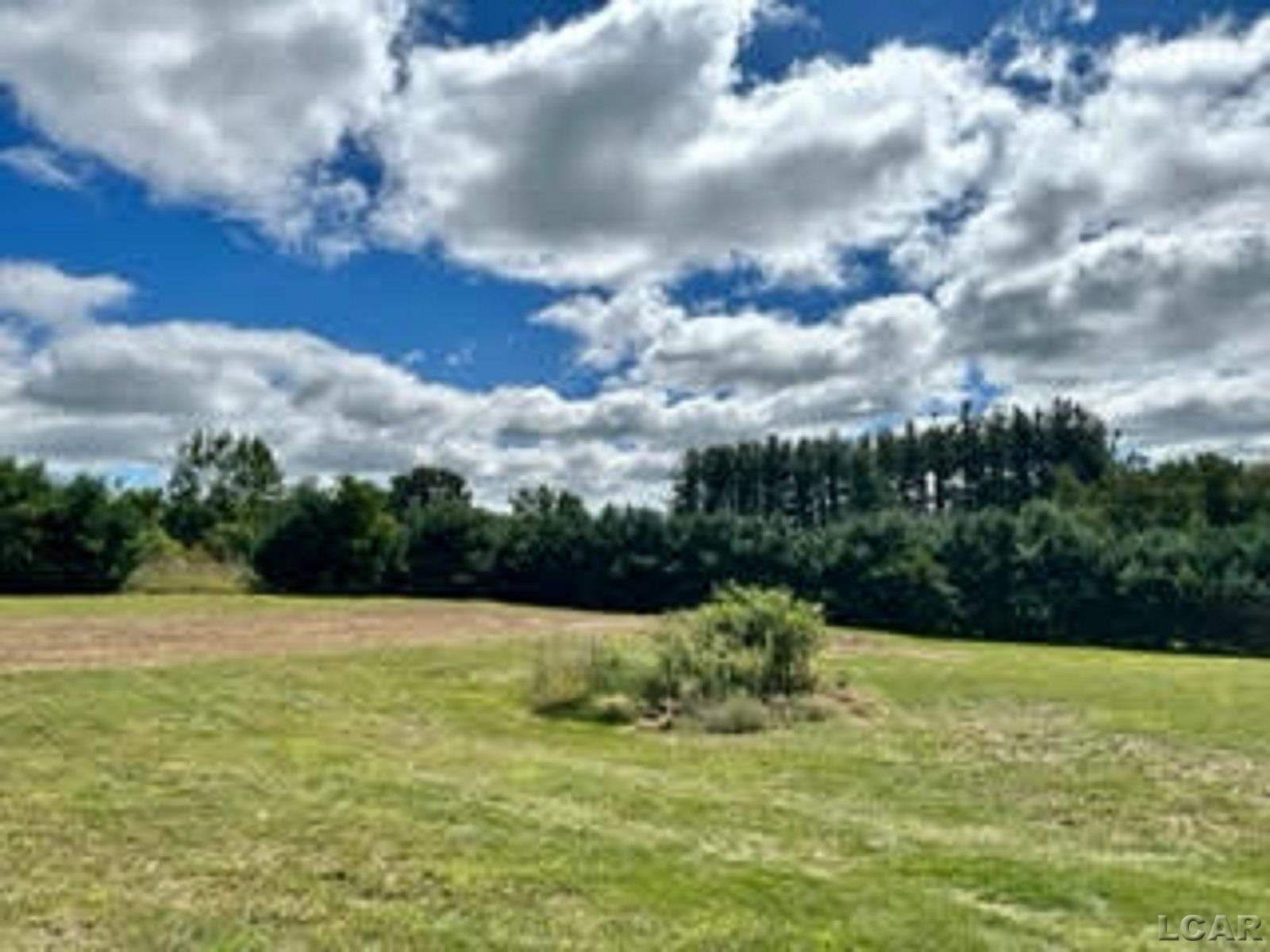 2545 Sharp Road Adrian, MI 49221 - Photo 9 of 14