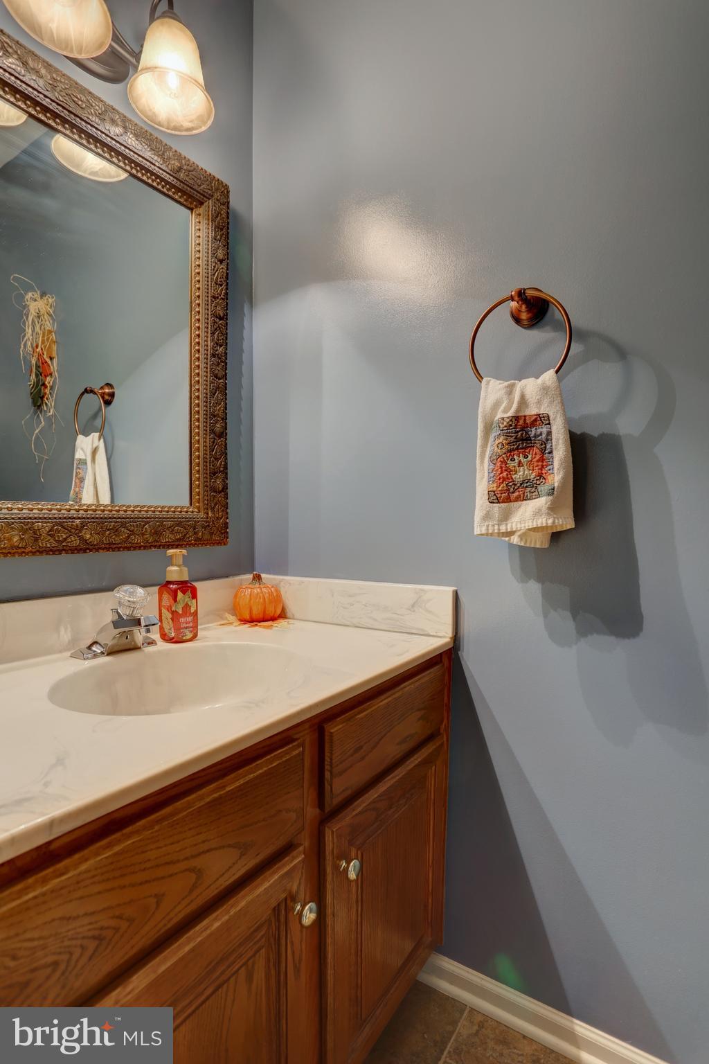 12 Foxrun Terrace Lititz, PA 17543 - Photo 3 of 42 a bathroom with a sink and a mirror