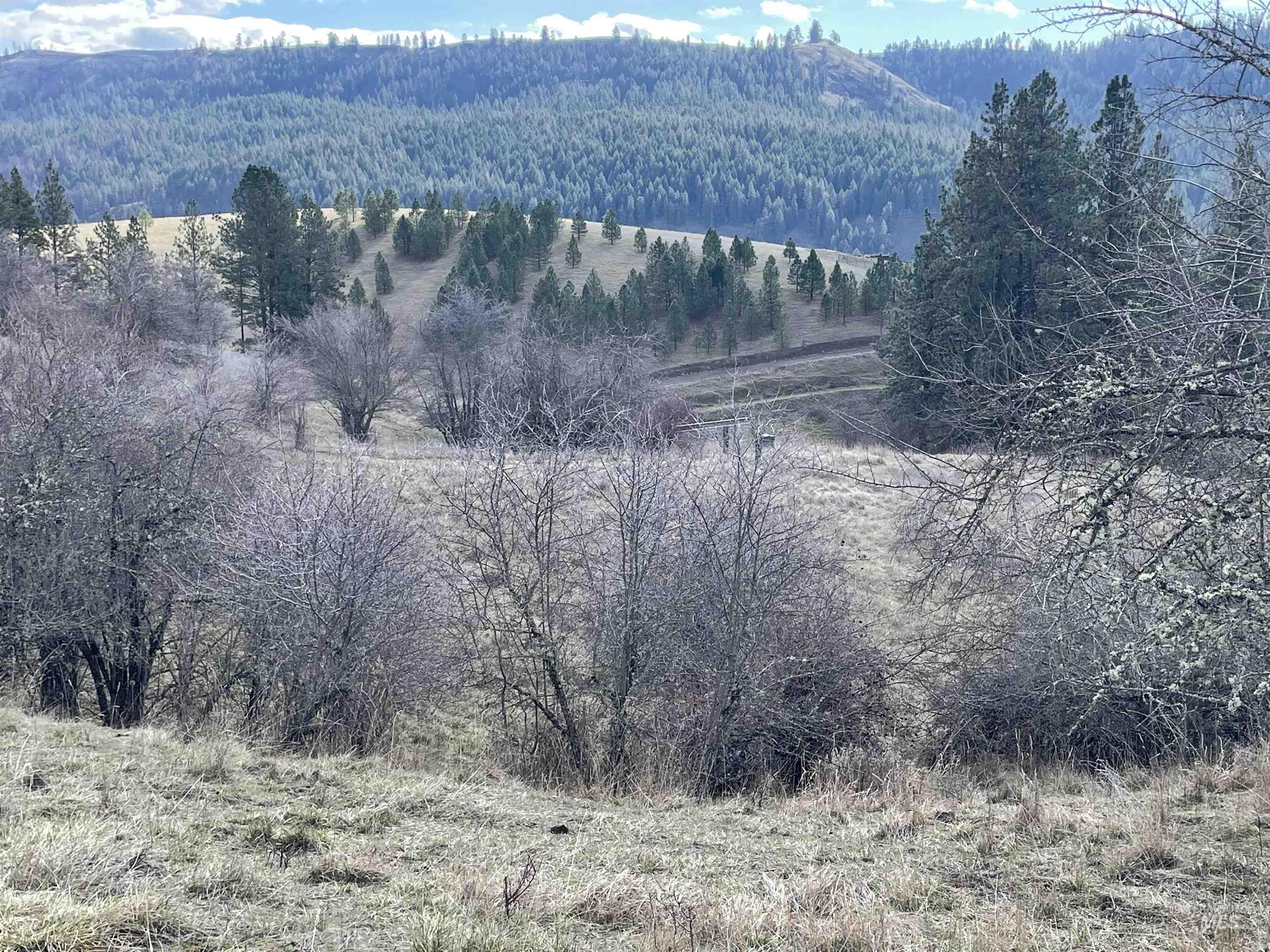 Nka Redemption Lane Kendrick, ID 83537 - Photo 11 of 25