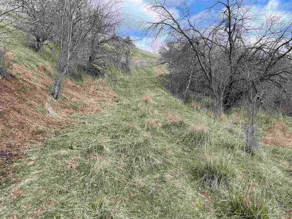 $135,000 | Nka Redemption Lane, Kendrick, ID 83537