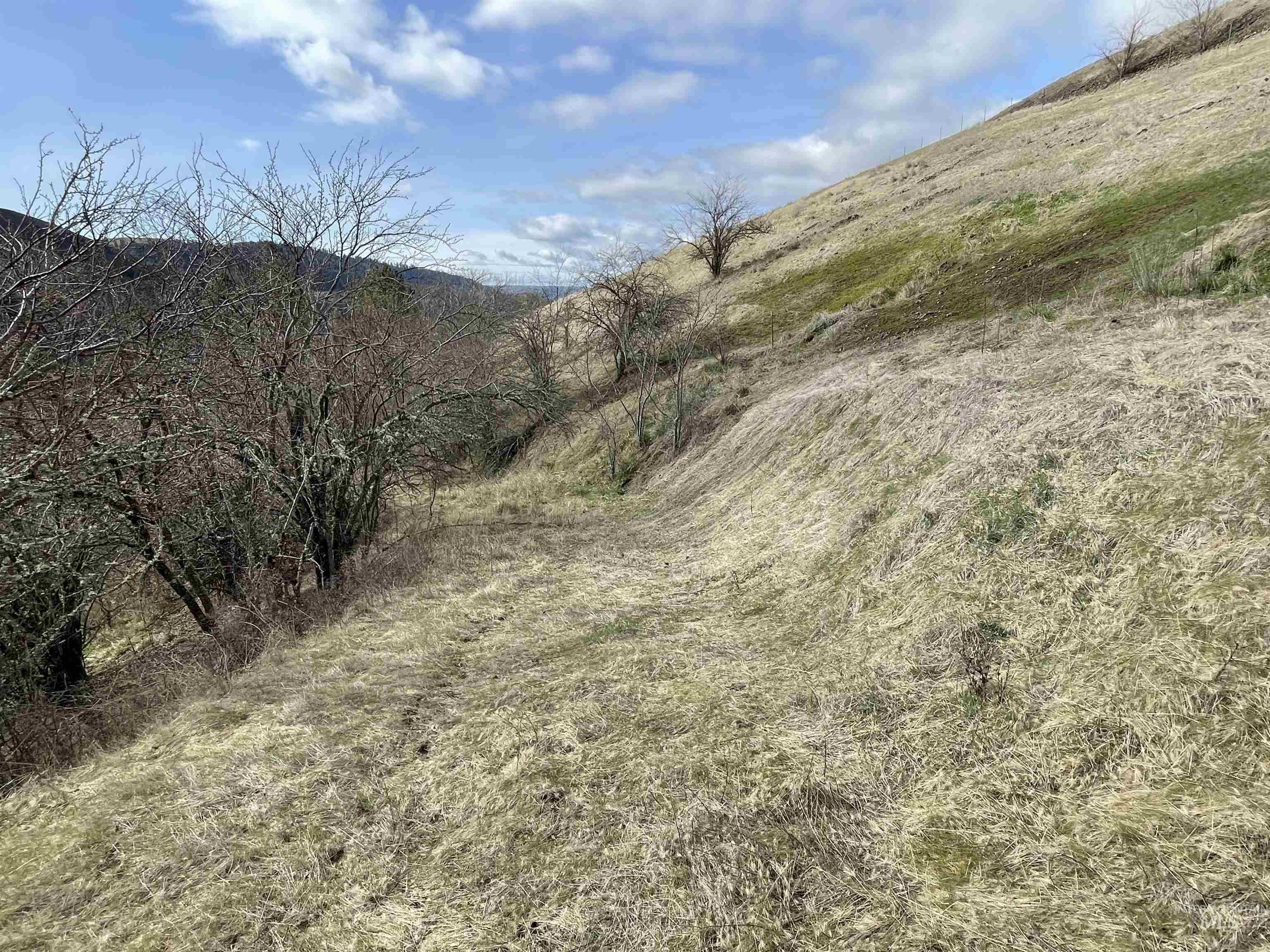 Nka Redemption Lane Kendrick, ID 83537 - Photo 13 of 25