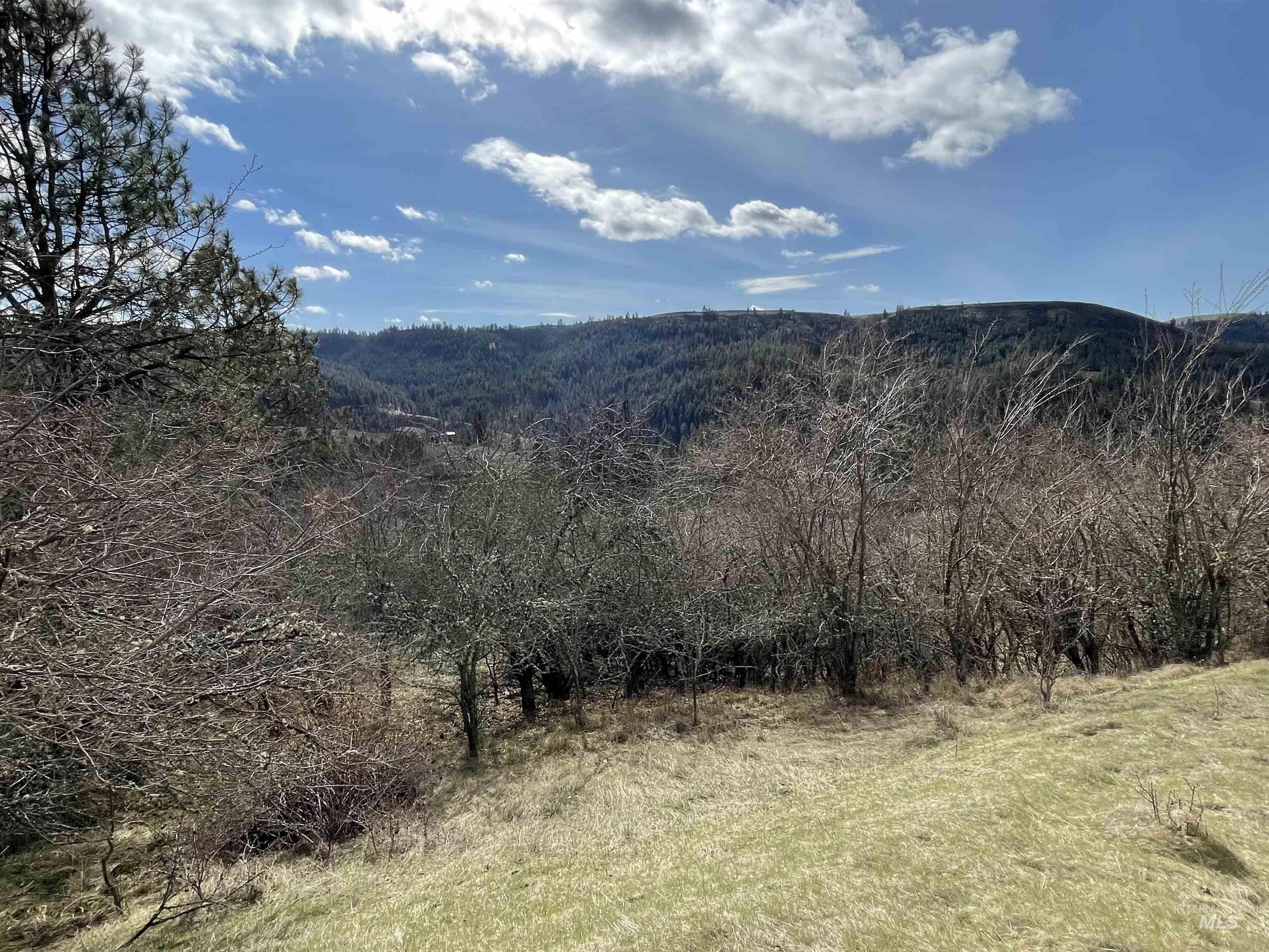 Nka Redemption Lane Kendrick, ID 83537 - Photo 14 of 25