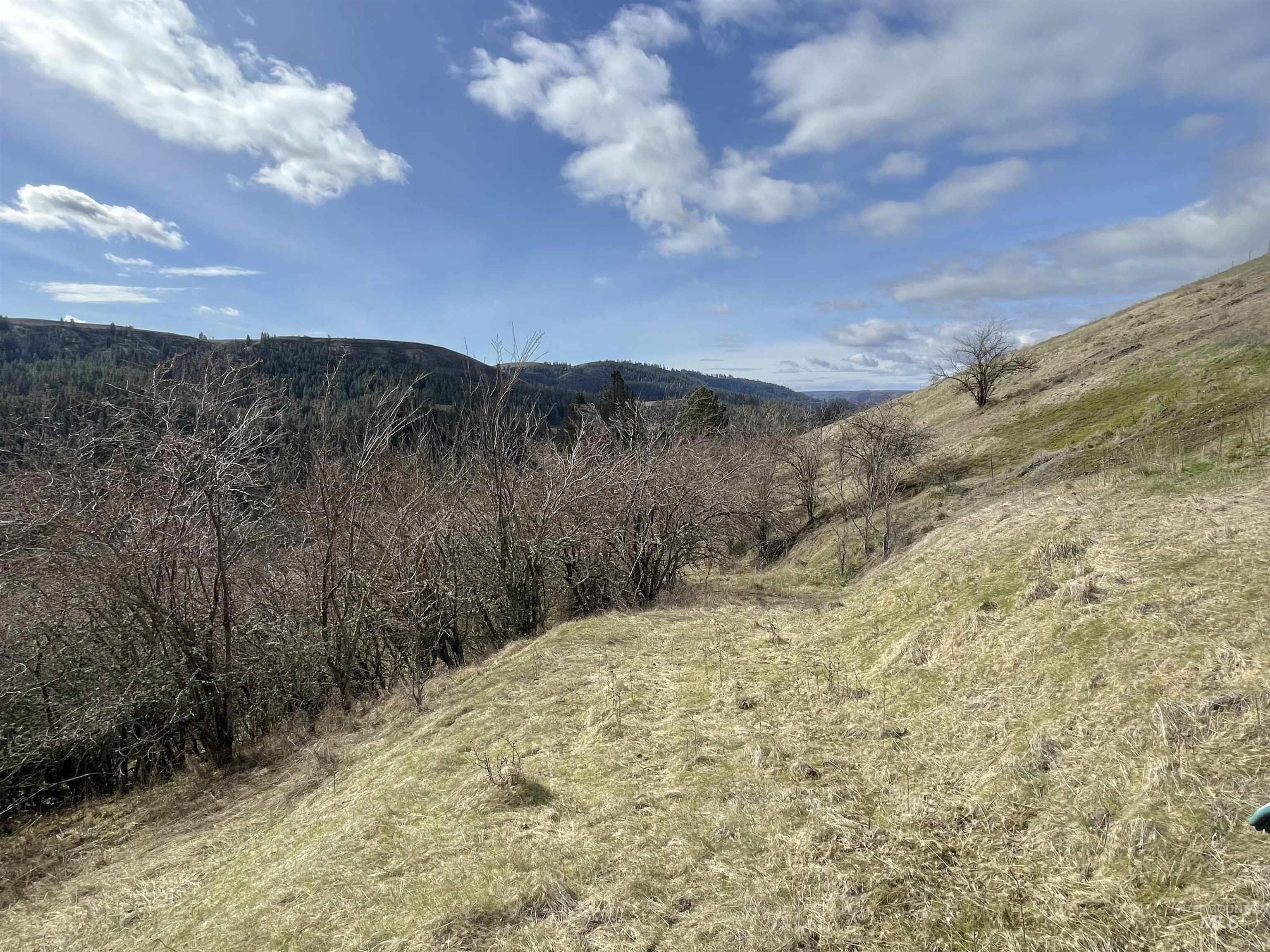 Nka Redemption Lane Kendrick, ID 83537 - Photo 15 of 25