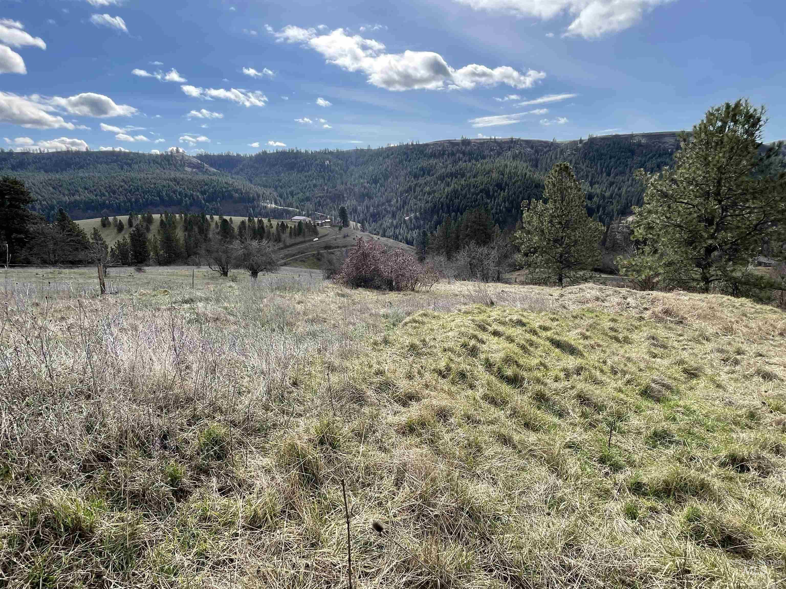 Nka Redemption Lane Kendrick, ID 83537 - Photo 16 of 25