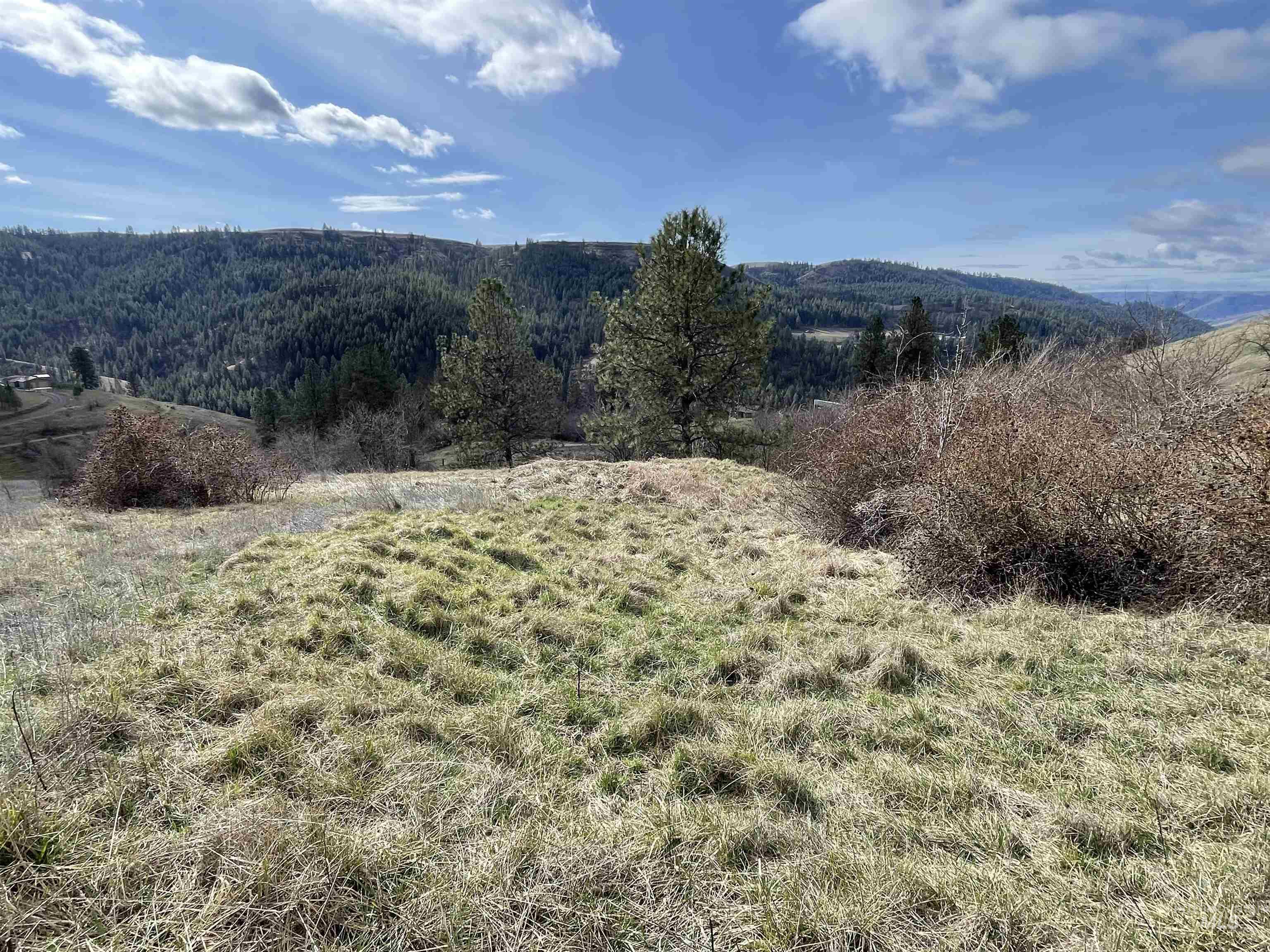 Nka Redemption Lane Kendrick, ID 83537 - Photo 17 of 25