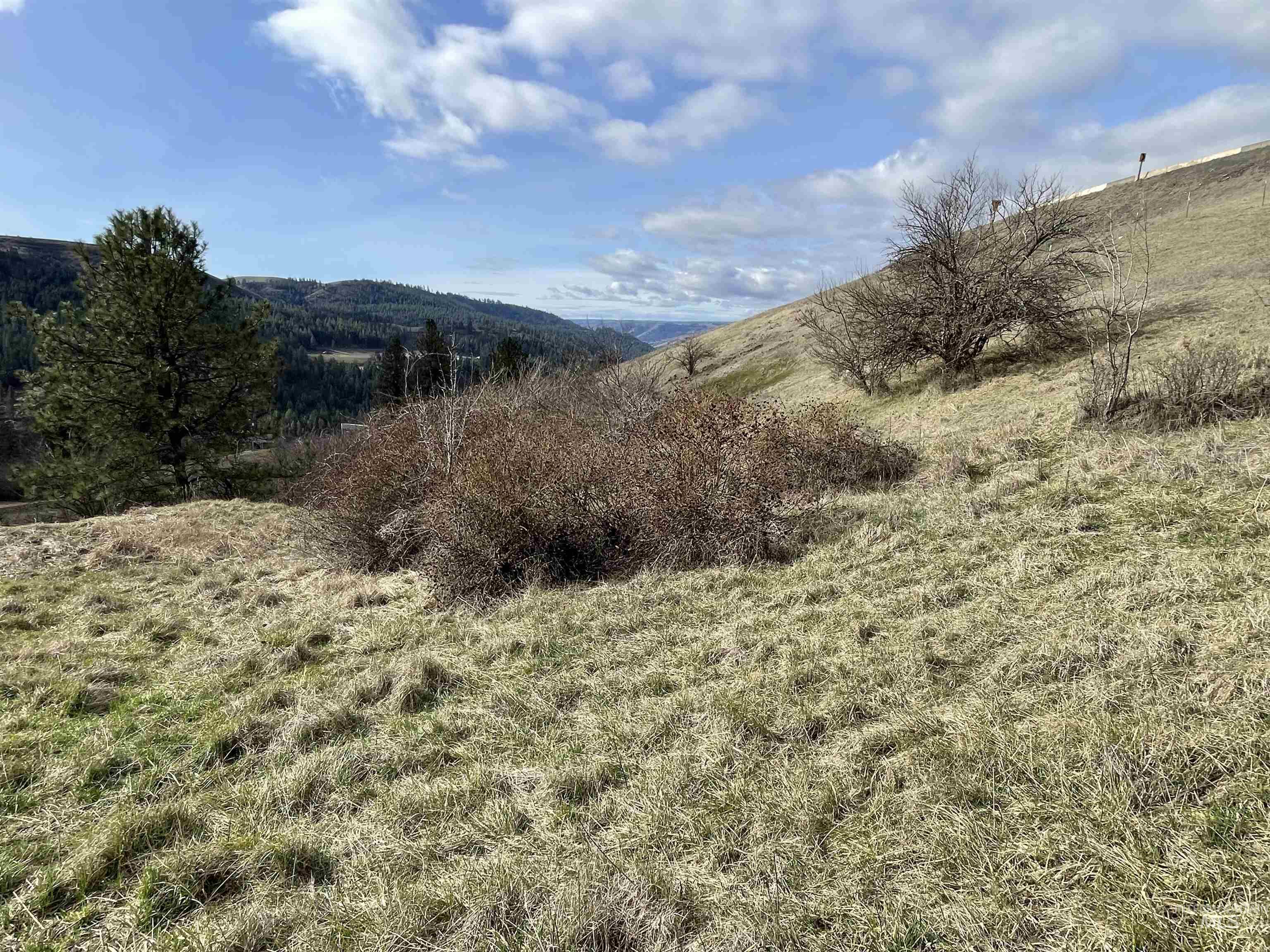 Nka Redemption Lane Kendrick, ID 83537 - Photo 18 of 25