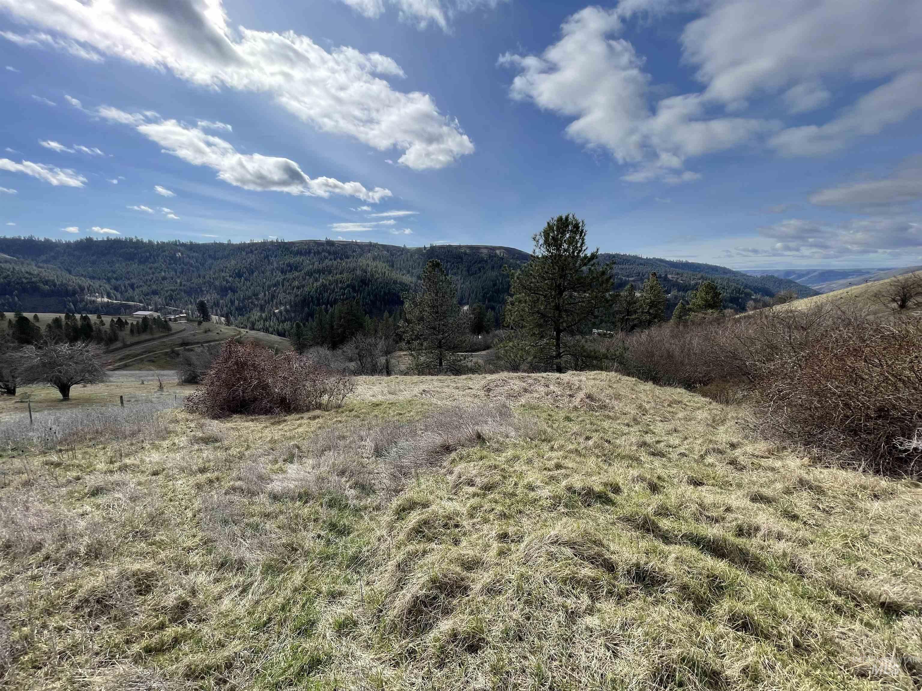 Nka Redemption Lane Kendrick, ID 83537 - Photo 19 of 25