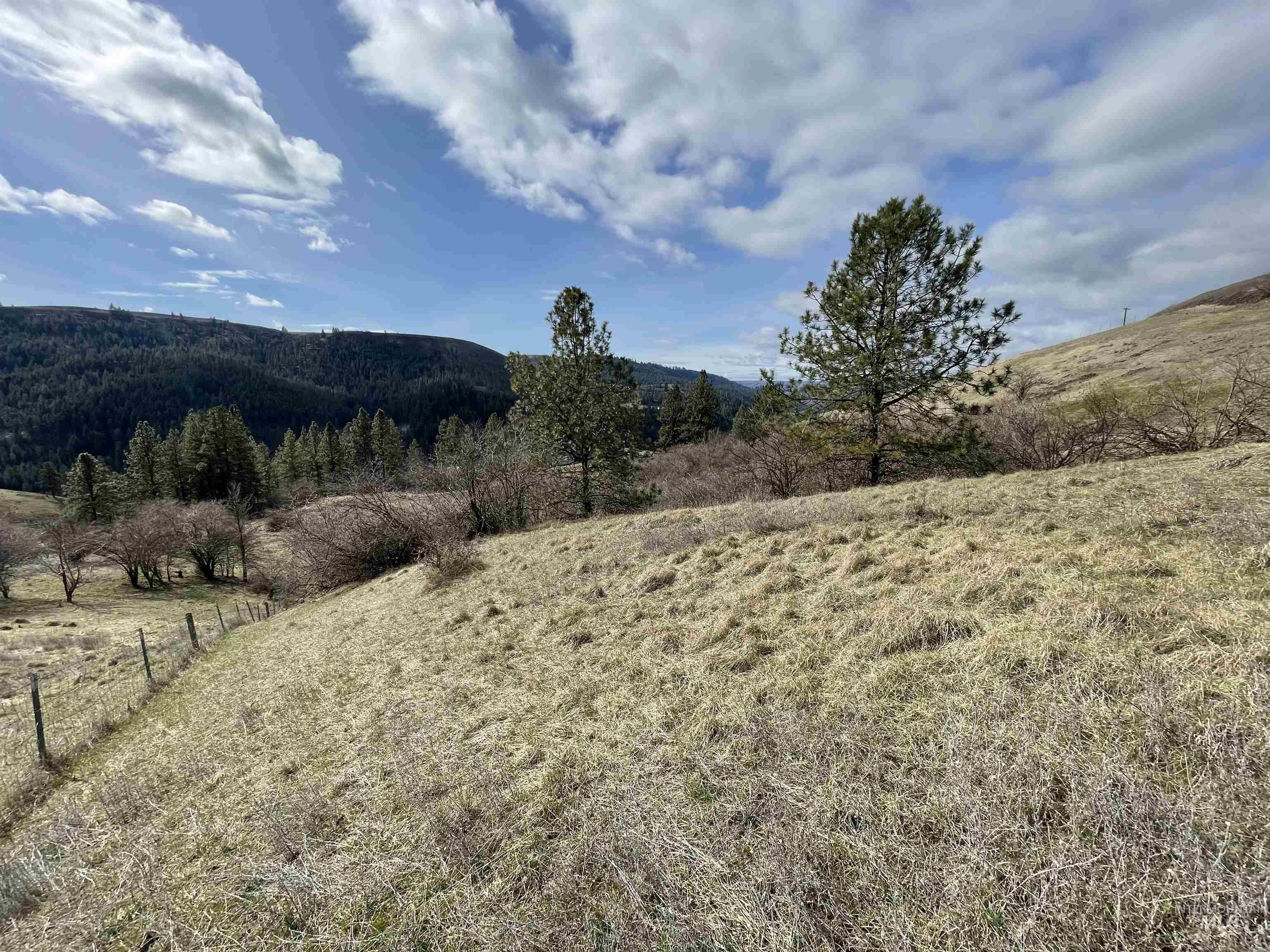 Nka Redemption Lane Kendrick, ID 83537 - Photo 20 of 25