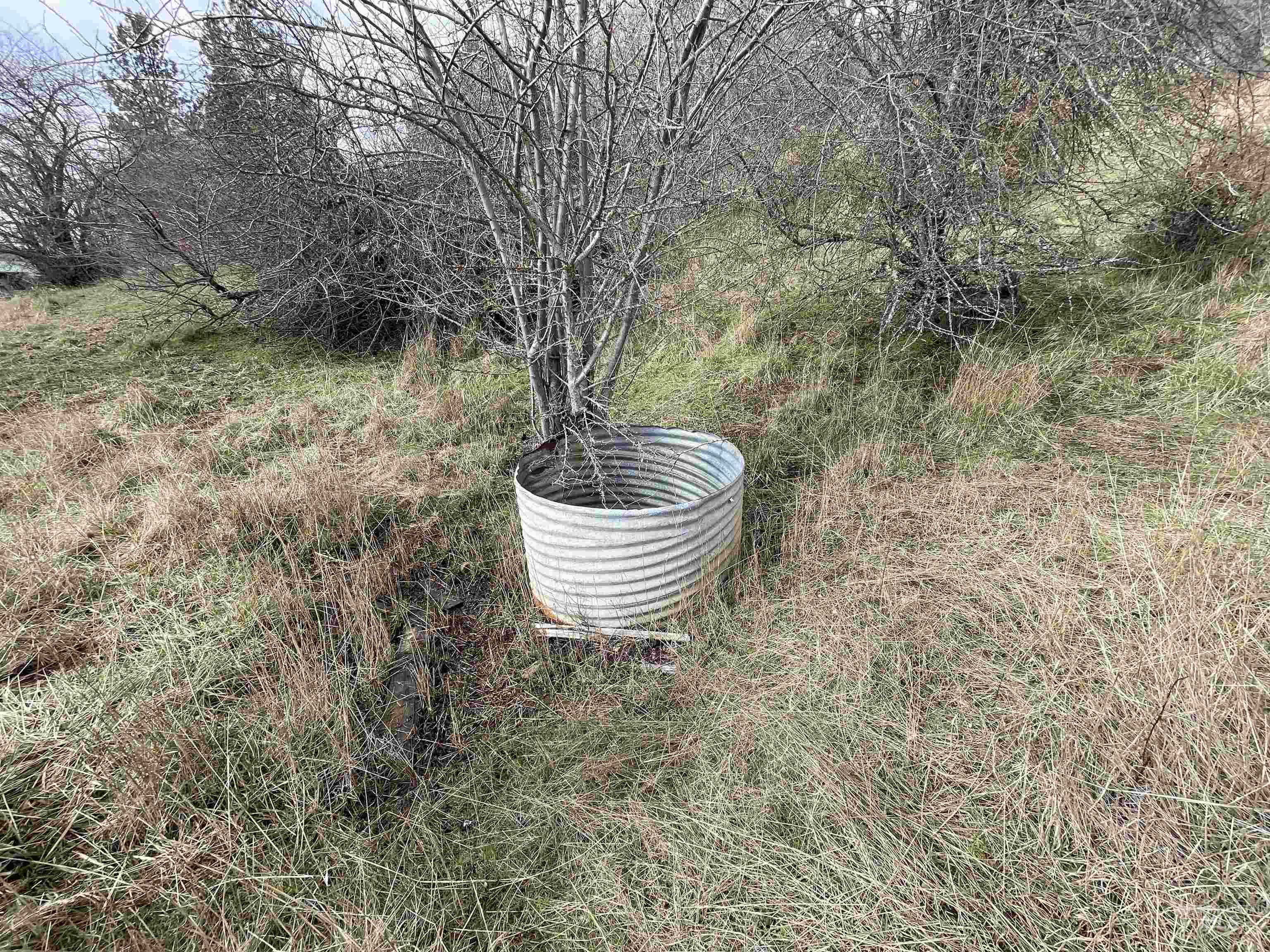 Nka Redemption Lane Kendrick, ID 83537 - Photo 23 of 25