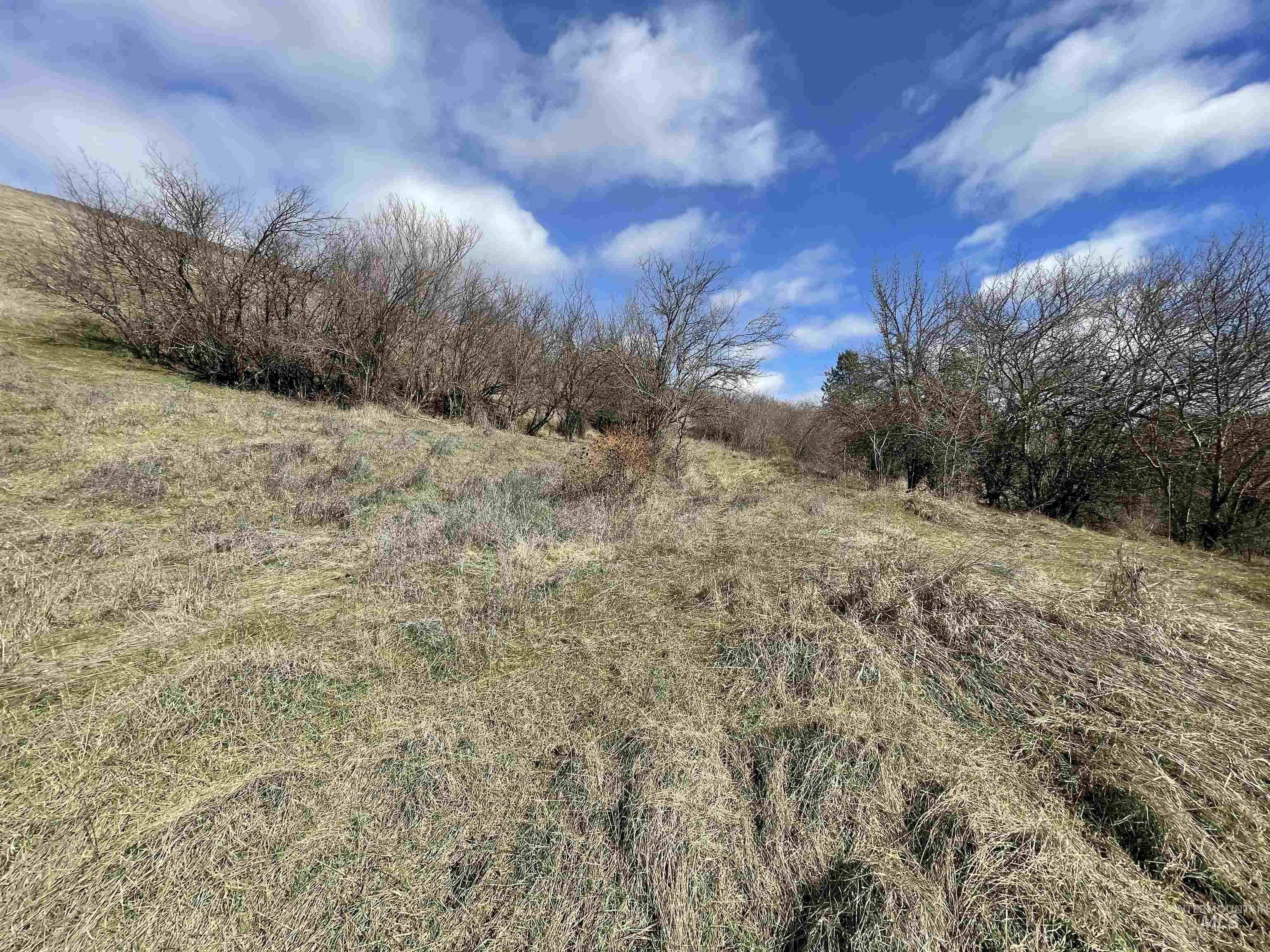 Nka Redemption Lane Kendrick, ID 83537 - Photo 5 of 25