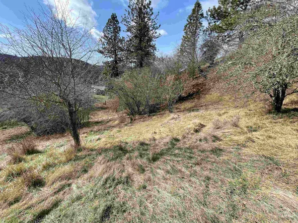 $135,000 | Nka Redemption Lane, Kendrick, ID 83537