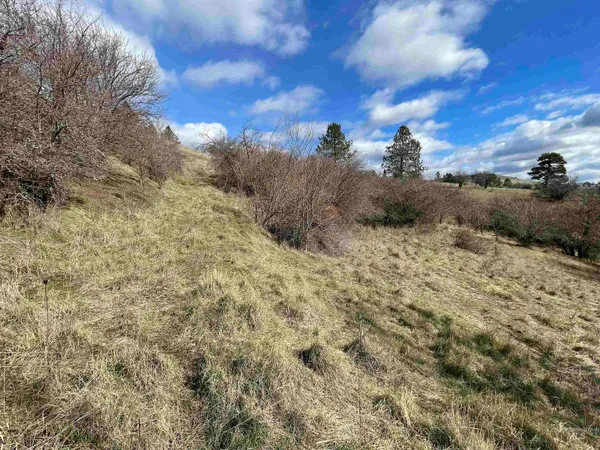 $135,000 | Nka Redemption Lane, Kendrick, ID 83537