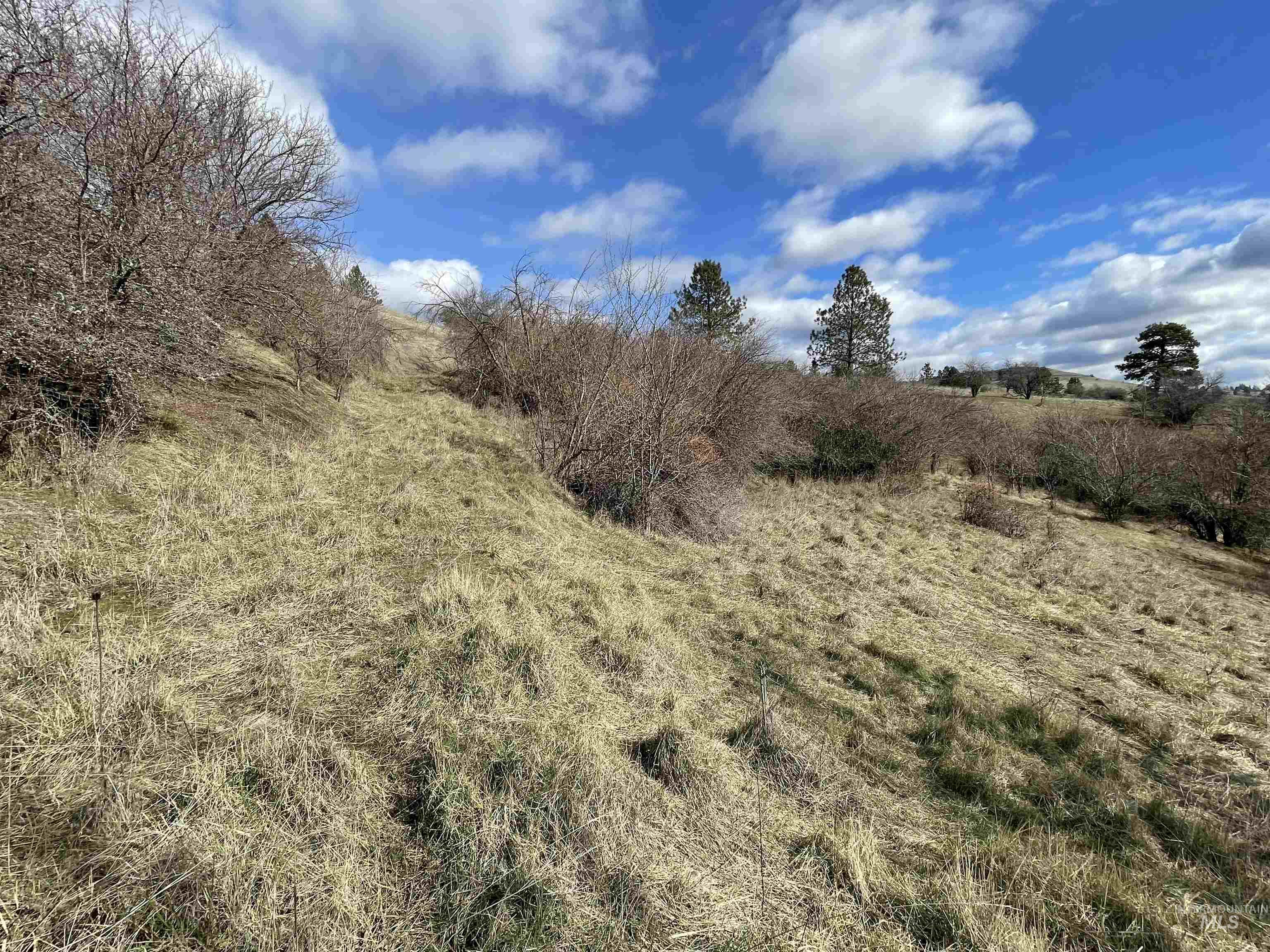 Nka Redemption Lane Kendrick, ID 83537 - Photo 8 of 25