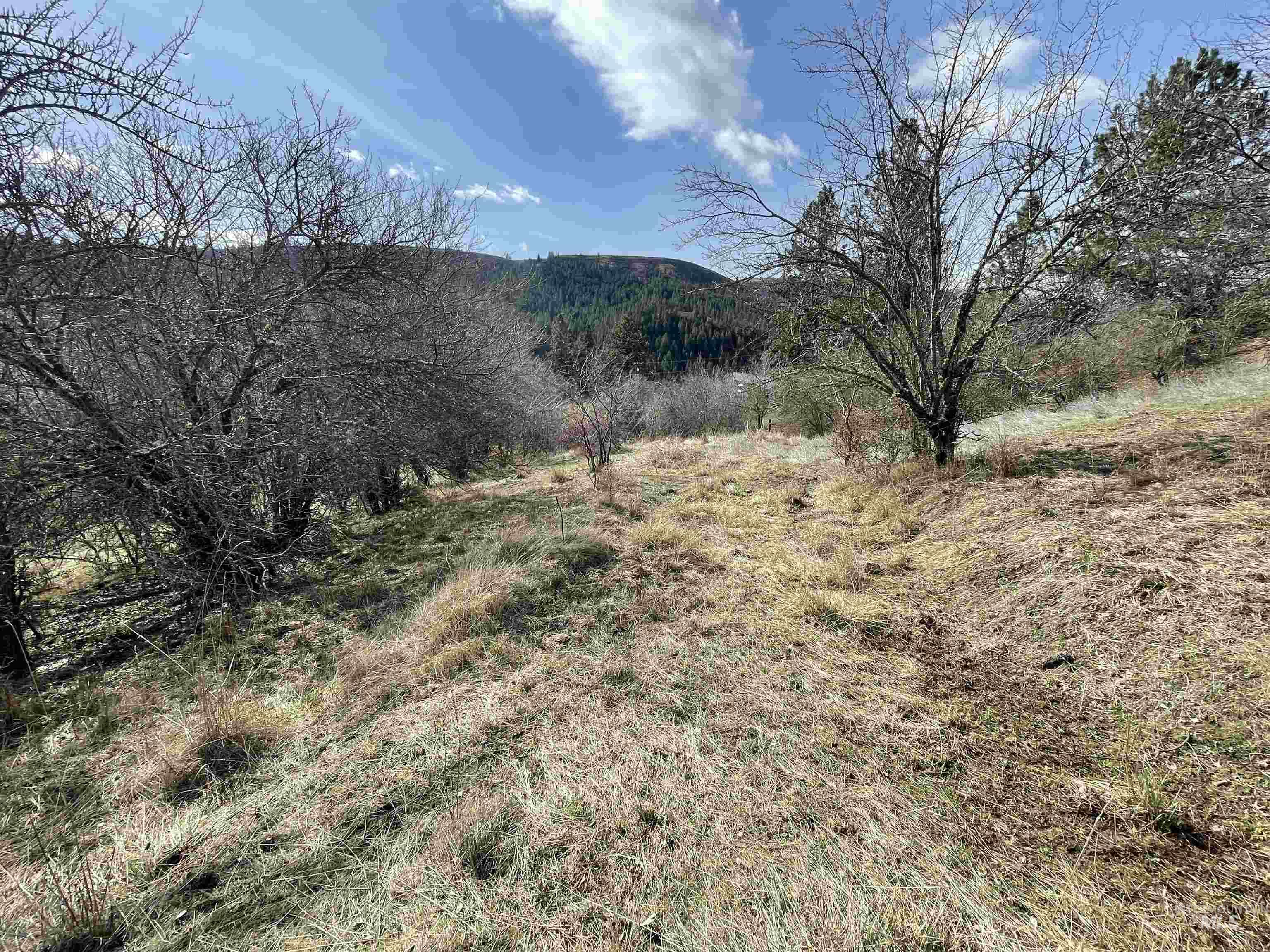 Nka Redemption Lane Kendrick, ID 83537 - Photo 9 of 25