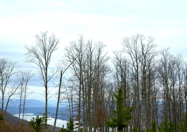 $89,900 | 0 Wohalie Lane, Unit LOTS 45/45A, South Pittsburg, TN 37380