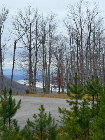 $89,900 | 0 Wohalie Lane, Unit LOTS 45/45A, South Pittsburg, TN 37380