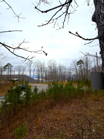 $89,900 | 0 Wohalie Lane, Unit LOTS 45/45A, South Pittsburg, TN 37380