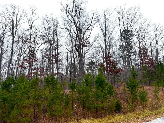 $89,900 | 0 Wohalie Lane, Unit LOTS 45/45A, South Pittsburg, TN 37380