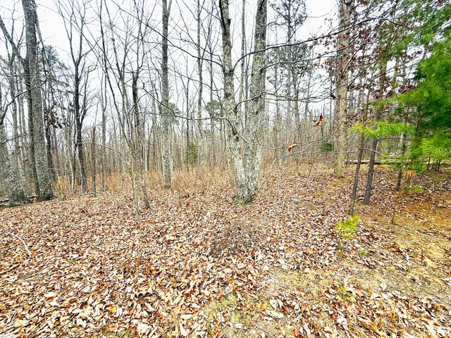 $89,900 | 0 Wohalie Lane, Unit LOTS 45/45A, South Pittsburg, TN 37380