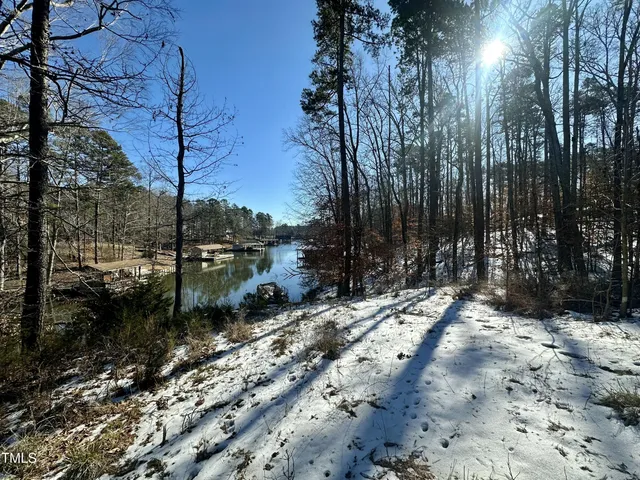 a view of a lake with a mountain
