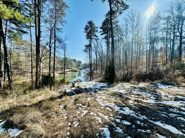 a view of backyard of house