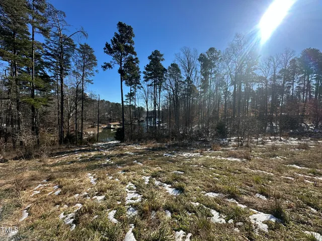 a view of a yard with trees