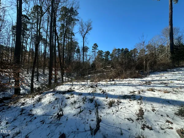 a view of a yard with trees