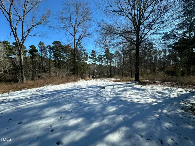 a view of a backyard with large trees