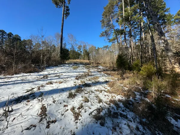 a view of outdoor space with lots of trees