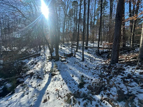 a view of a yard with trees