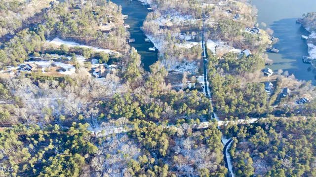 a view of a yard with trees