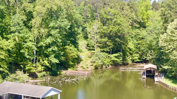 a view of a garden with plants