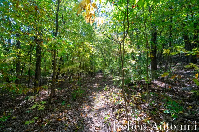 $495,000 | 14111 Thompson Drive Northeast, Lowell, MI 49331