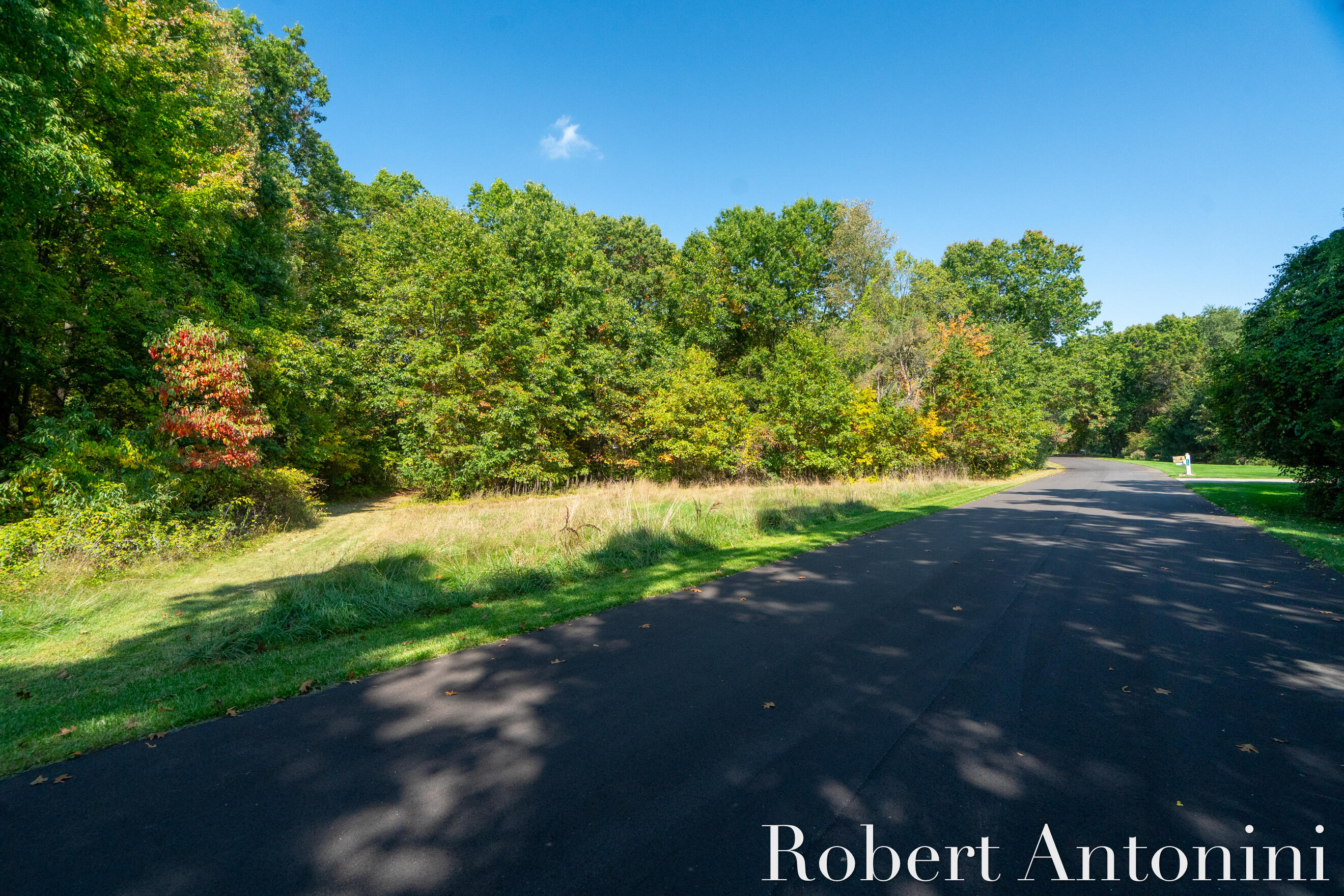 14111 Thompson Drive Northeast Lowell, MI 49331 - Photo 21 of 24 Thompson Dr