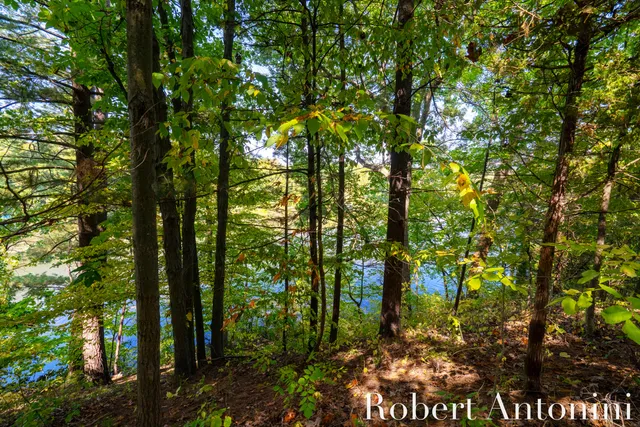 $495,000 | 14111 Thompson Drive Northeast, Lowell, MI 49331