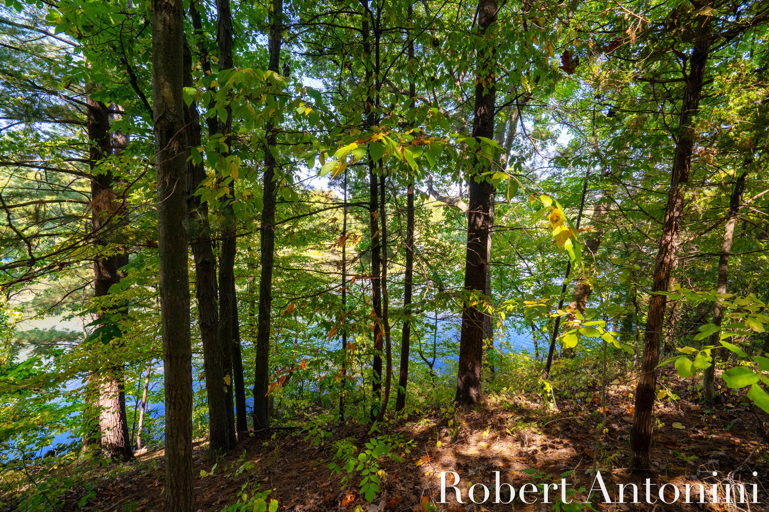 14111 Thompson Drive Northeast Lowell, MI 49331 - Photo 4 of 24 325 Ft of Flat River Frontage