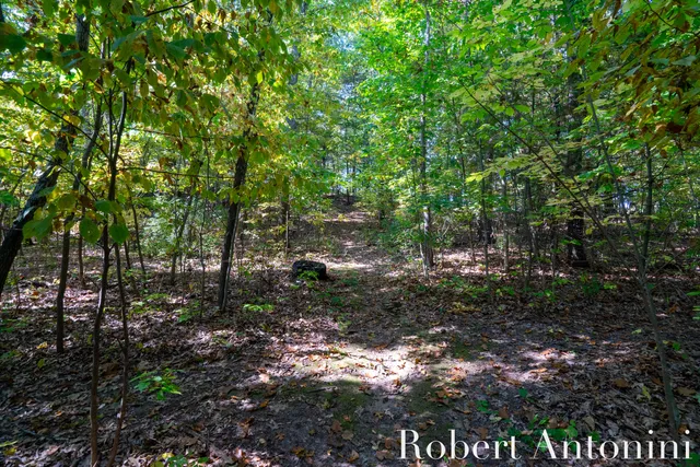 $495,000 | 14111 Thompson Drive Northeast, Lowell, MI 49331