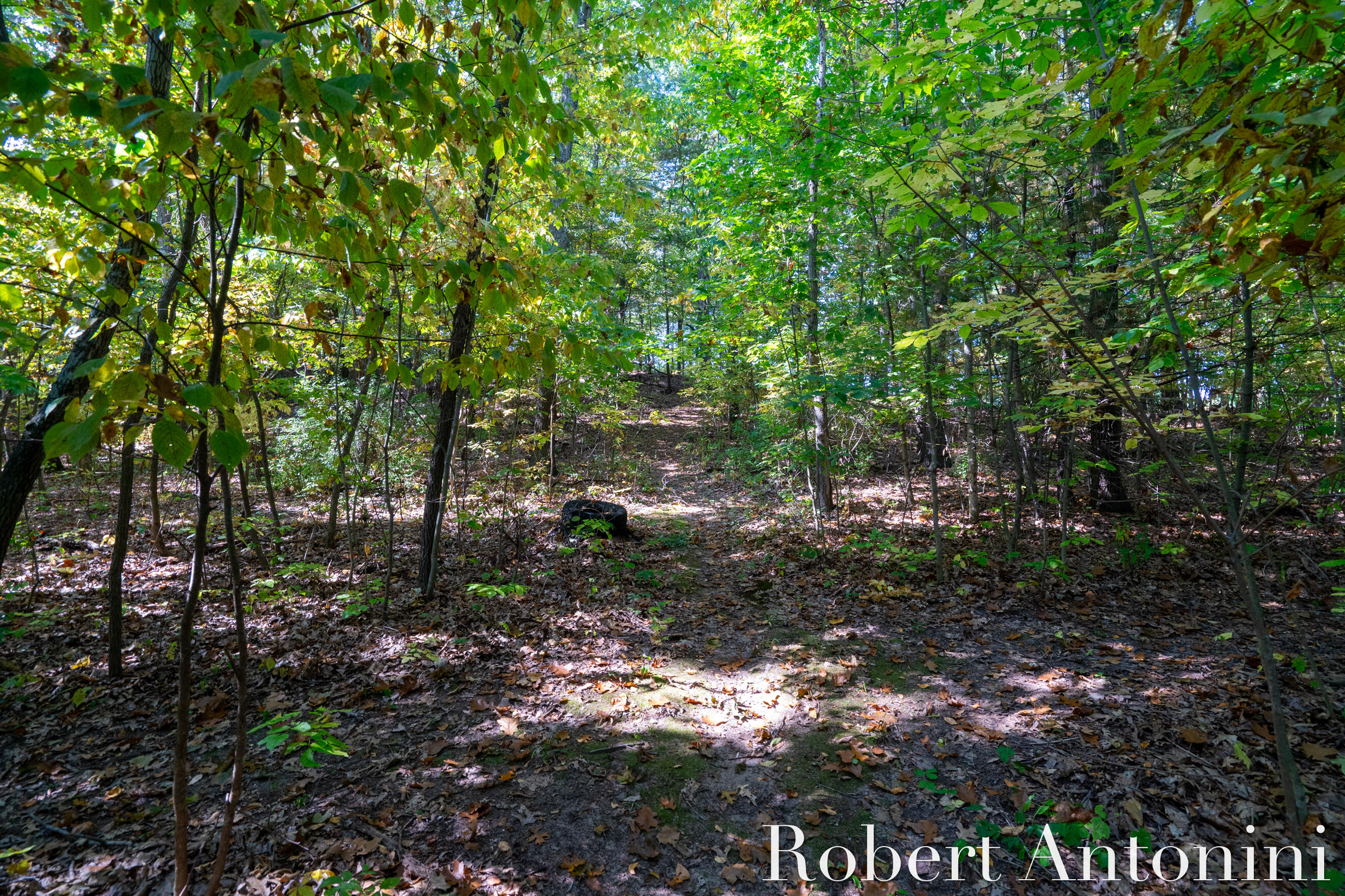 14111 Thompson Drive Northeast Lowell, MI 49331 - Photo 7 of 24 Build to Suit