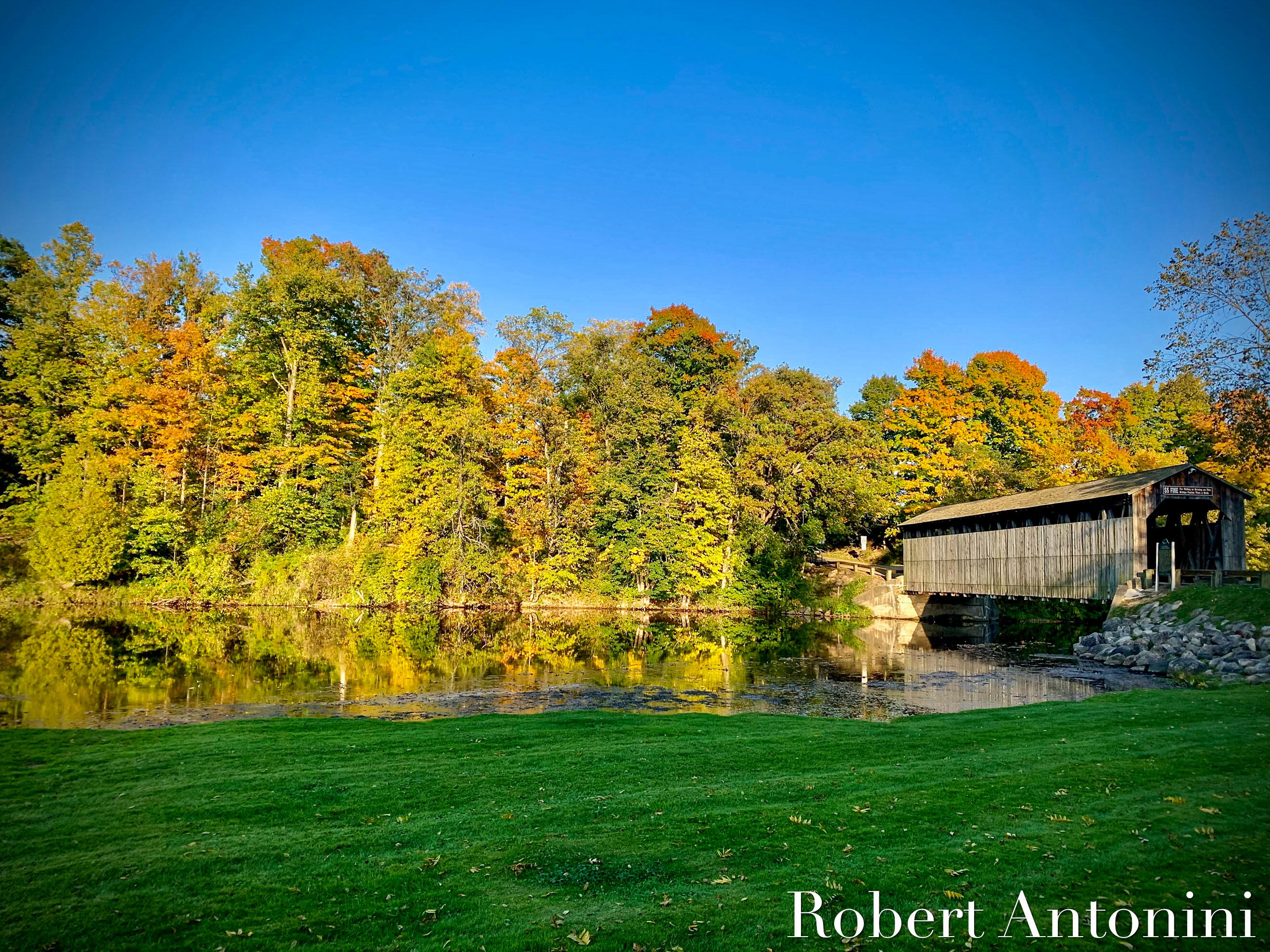 14111 Thompson Drive Northeast Lowell, MI 49331 - Photo 8 of 24 Bridge 1