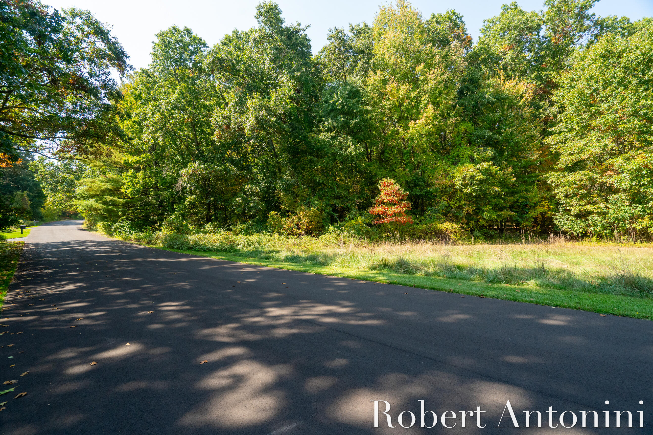 14111 Thompson Drive Northeast Lowell, MI 49331 - Photo 10 of 24 Paved Drive