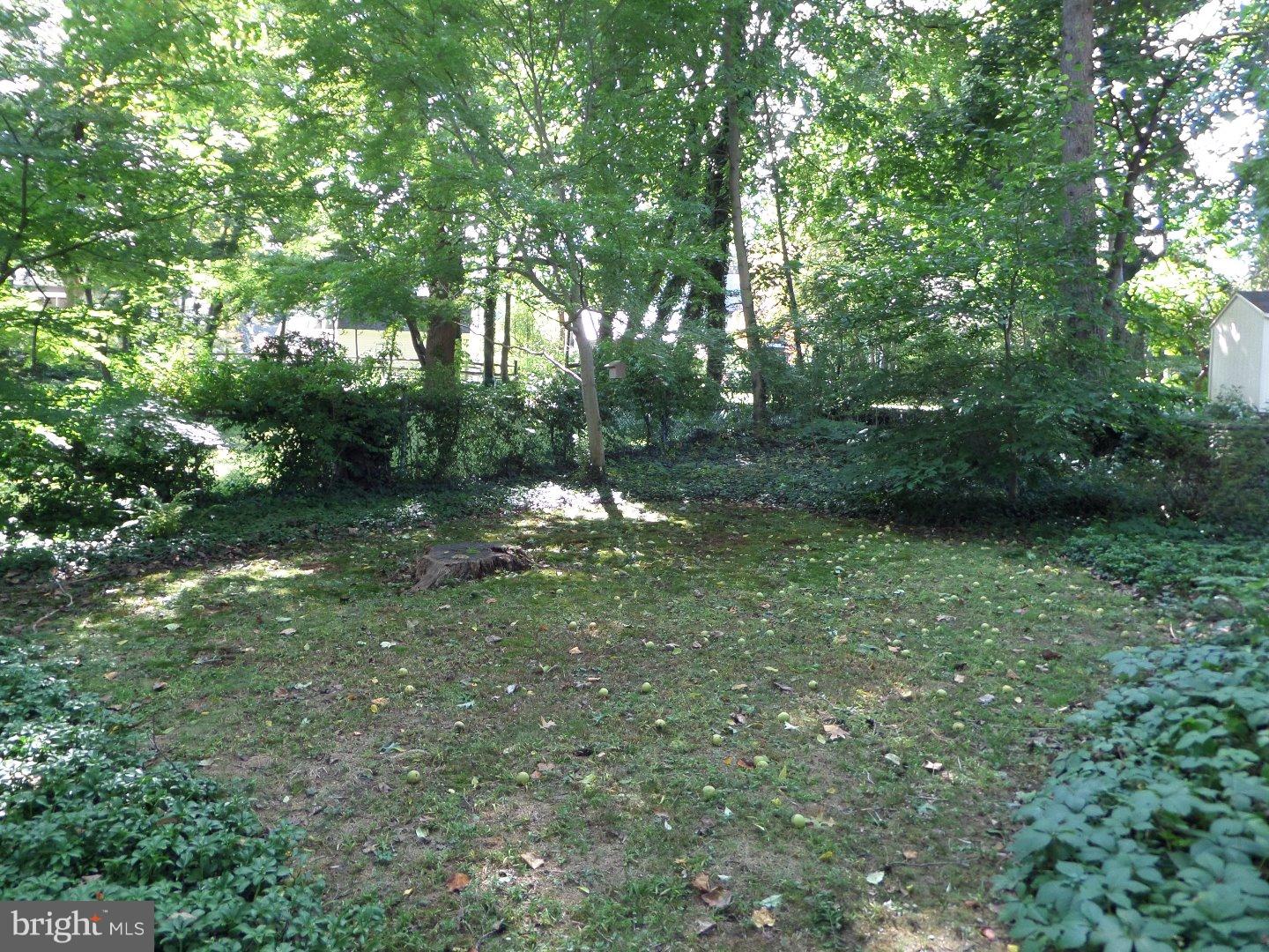214 Hewett Road Wyncote, PA 19095 - Photo 6 of 24
