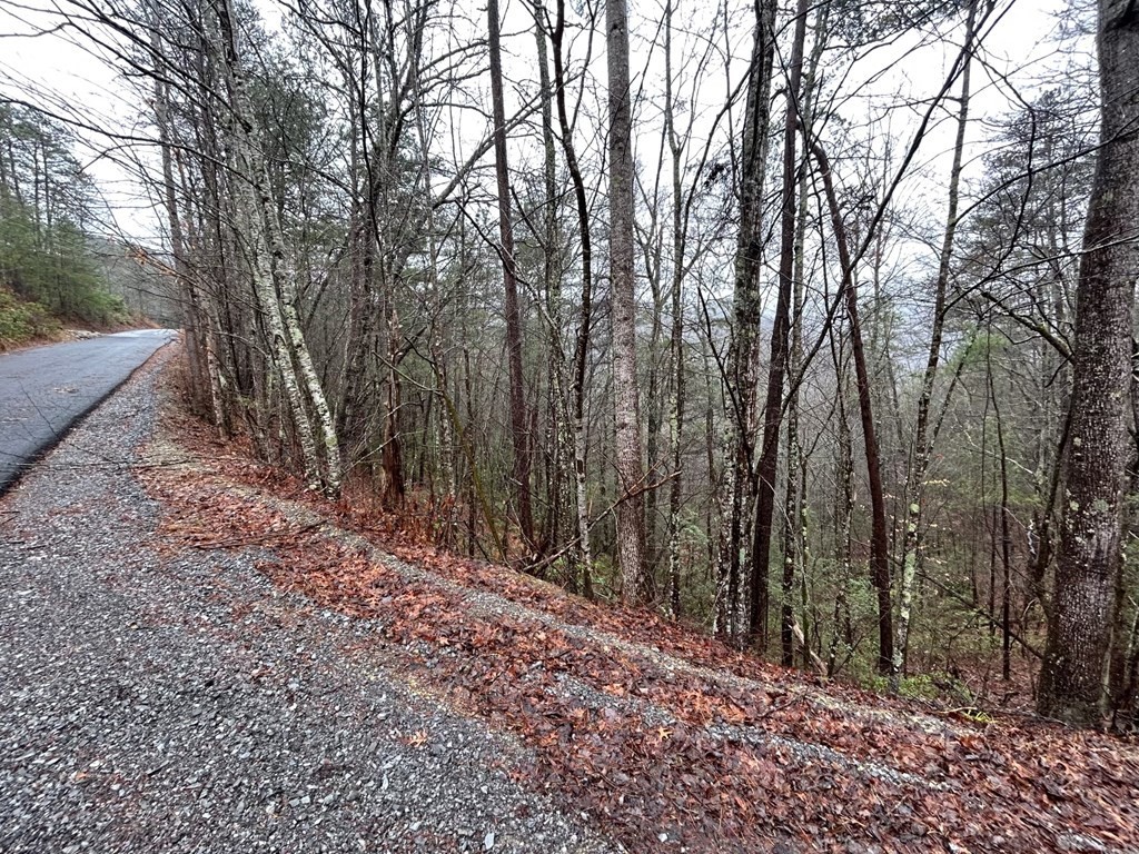 15 Clearview Road Sevierville, TN 37862 - Photo 6 of 16