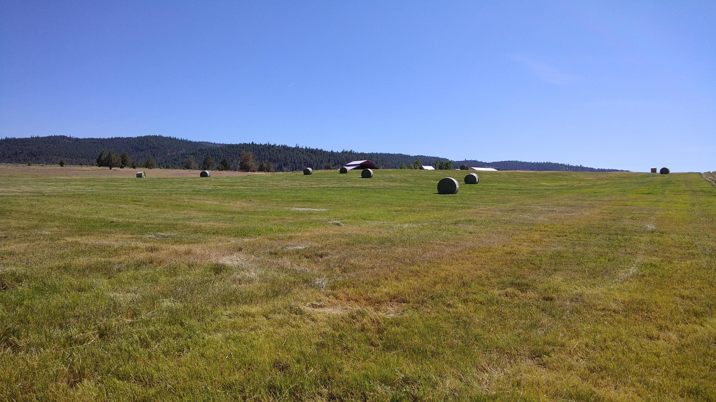 669-105 Susanville Road Adin, CA 96006 - Photo 27 of 53 round bales 2