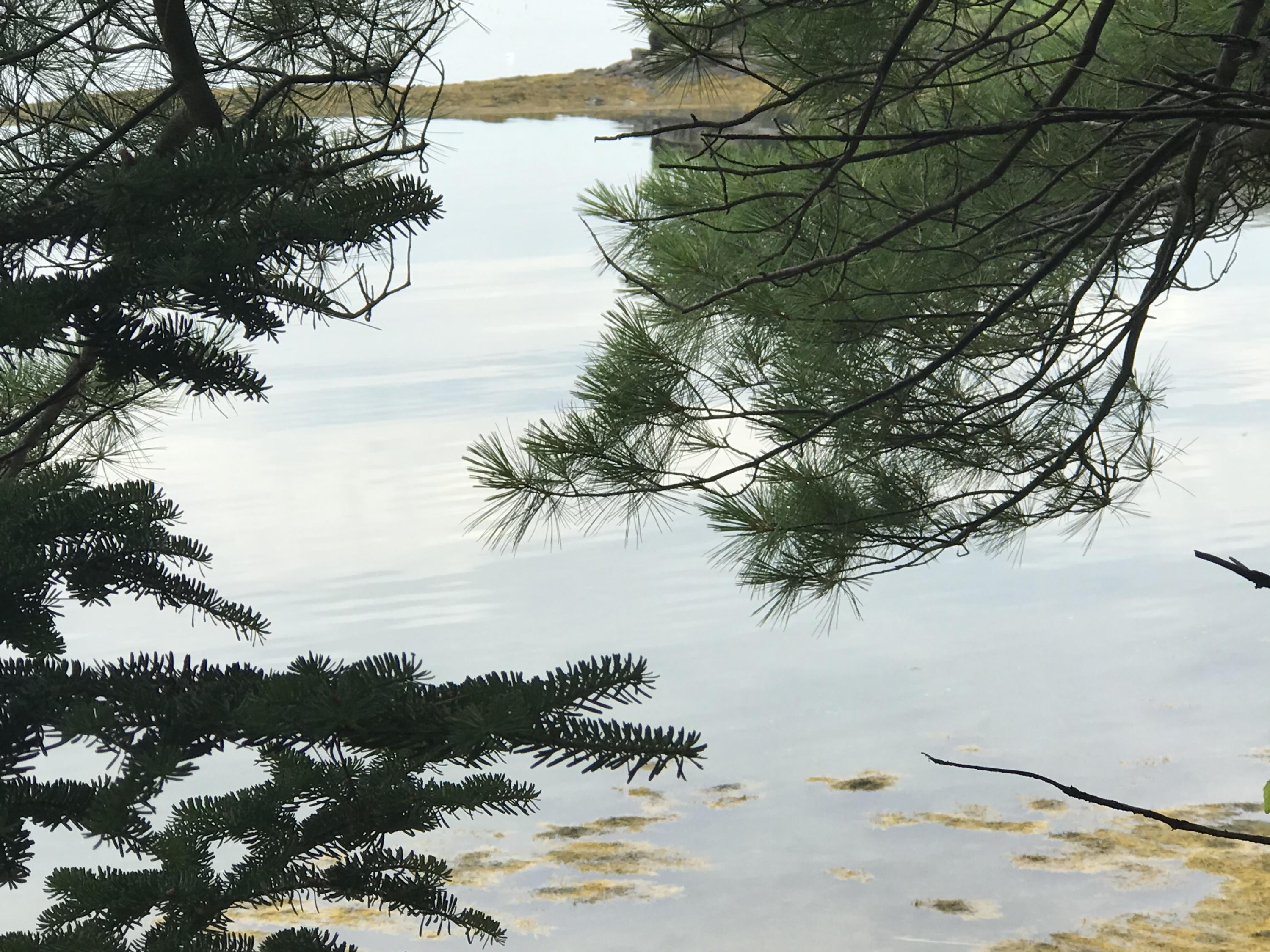 0 Basin Point Road Harpswell, ME 04079 - Photo 14 of 14 D1EE4905-6521-42EC-ADC3-A18F9A3358A2