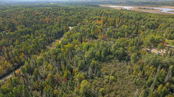 $71,900 | Tbd Johnson Creek Drive, Ely, MN 55731