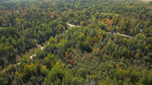 $71,900 | Tbd Johnson Creek Drive, Ely, MN 55731