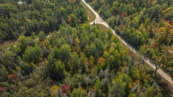 $71,900 | Tbd Johnson Creek Drive, Ely, MN 55731