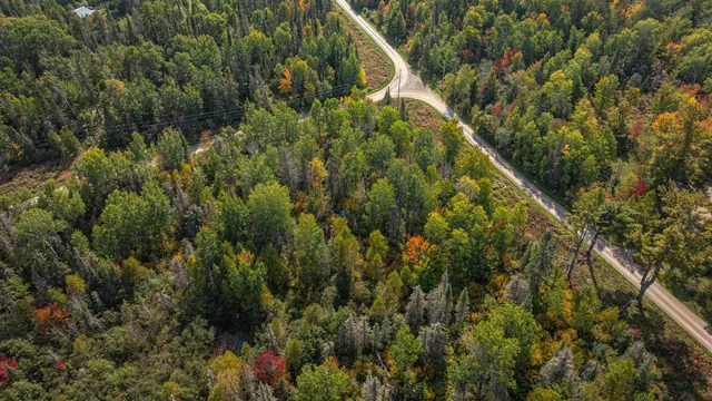 $71,900 | Tbd Johnson Creek Drive, Ely, MN 55731