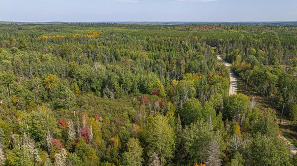 $71,900 | Tbd Johnson Creek Drive, Ely, MN 55731