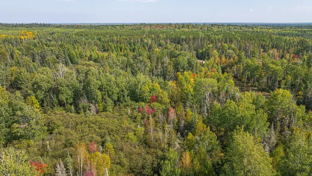 $71,900 | Tbd Johnson Creek Drive, Ely, MN 55731